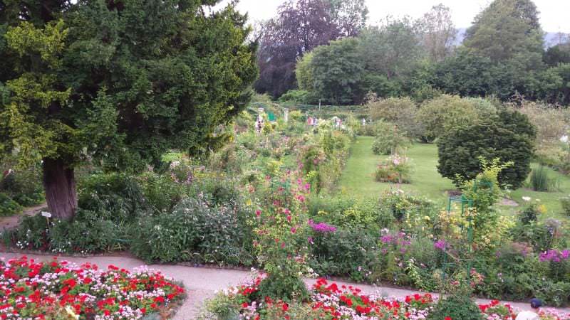 Monet Garten