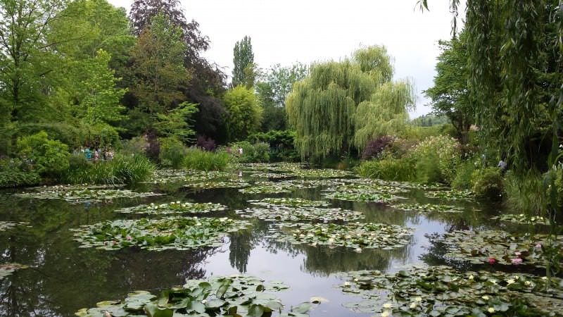 Monets Wassergarten in Giverny